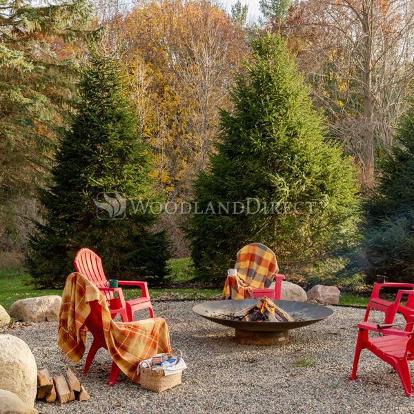 Asia Wood Burning Fire Pit